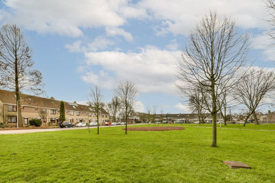 Trees on field against sky