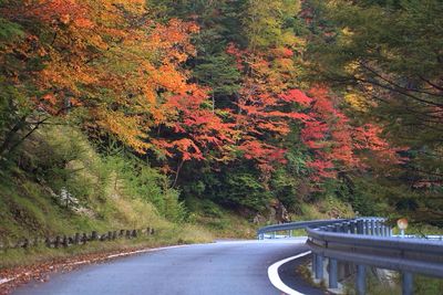 Road amidst trees in forest during autumn