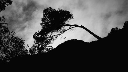 Low angle view of silhouette tree against sky