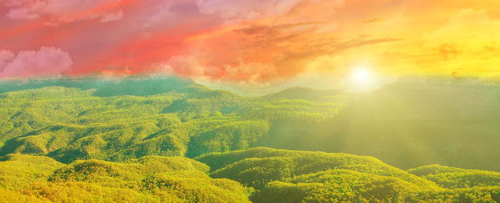 Scenic view of yellow sky during sunset