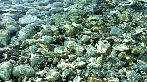 Full frame shot of pebbles in sea