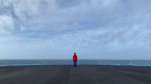 Rear view of man standing on beach against sky