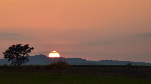 Scenic view of field against sky during sunset
