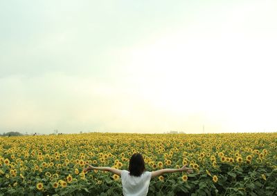 Scenic view of yellow flowers on field against sky