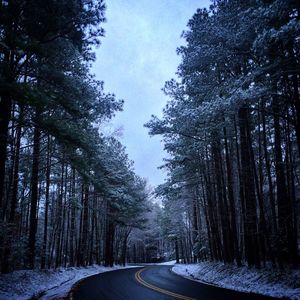 Road passing through trees