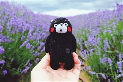 Close-up of hand holding purple flowers