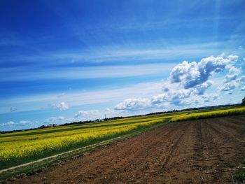 Scenic view of agricultural field against blue sky