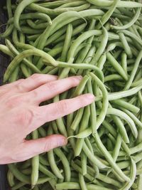 Midsection of woman holding vegetables