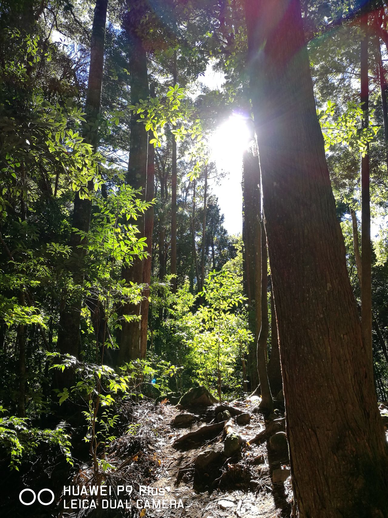 加里山