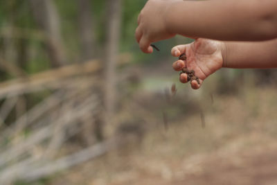 Close-up of person hand on field