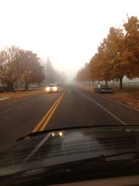 Road passing through forest