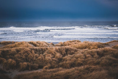 Scenic view of beach against sky