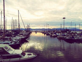 Boats in harbor