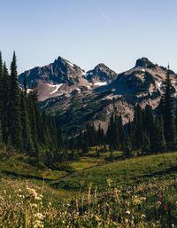 Scenic view of landscape against clear sky