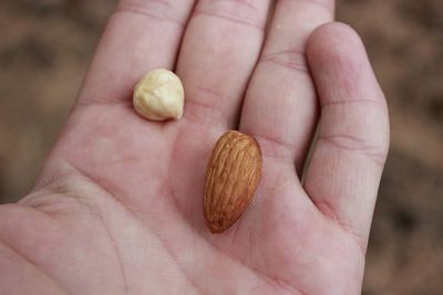 Close-up of hand holding apple