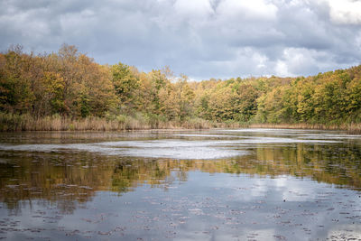 Scenic view of lake by trees against sky