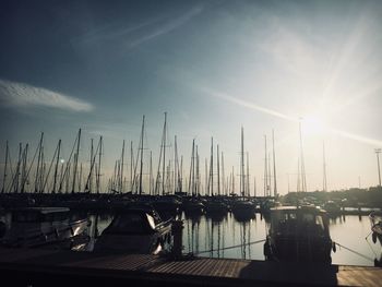 Sailboats moored at harbor against sky