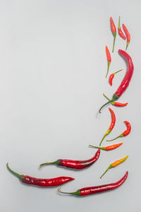 High angle view of red chili pepper against white background