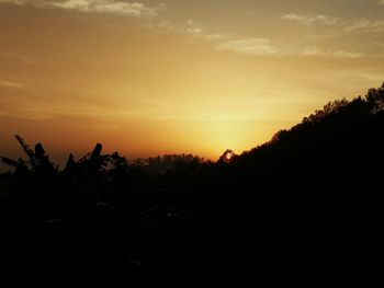Silhouette trees against sky during sunset