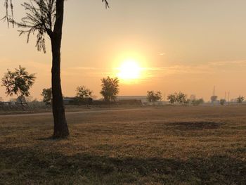 Scenic view of field against sky during sunset