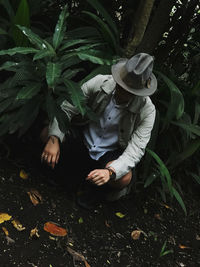 High angle view of woman picking leaves