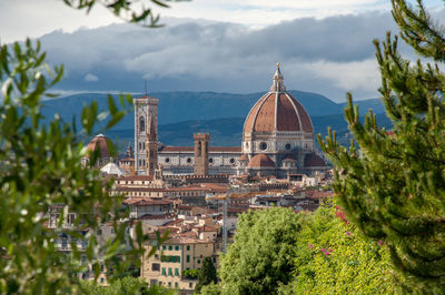 Duomo framed by trees