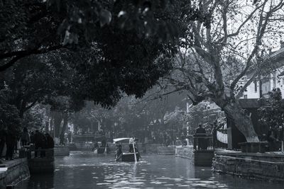 Trees by river in park