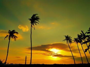 Low angle view silhouette of palm trees against sky during sunset