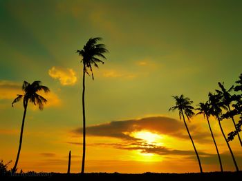 Low angle view of silhouette palm trees against romantic sky