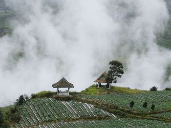 Scenic view of field against cloudy sky