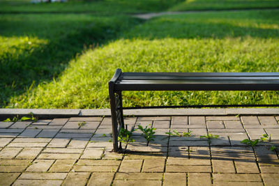 Bench in park