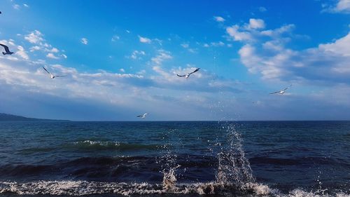 Seagulls flying over sea against sky