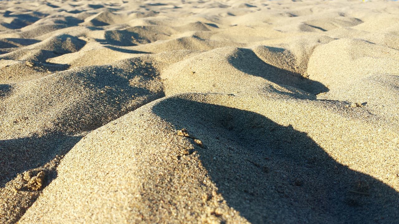 SHADOW OF PEOPLE ON BEACH