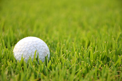 Close-up of golf ball on field