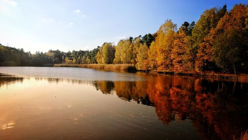 Scenic view of lake by trees against sky