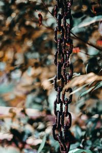 Close-up of chain