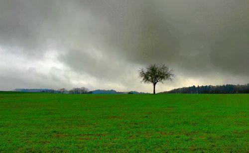 Scenic view of grassy field against cloudy sky