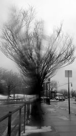 Bare trees by river against sky