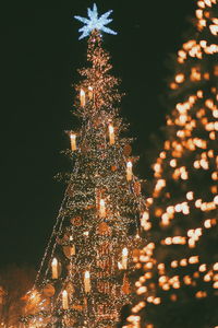 Illuminated christmas tree at night