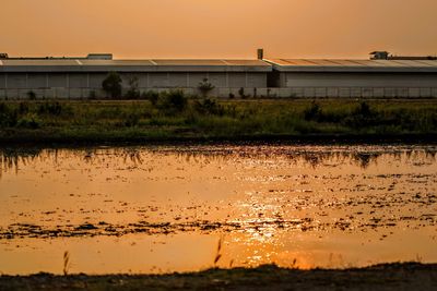 Scenic view of farm against sky during sunset