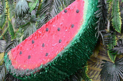 Close-up of fresh red fruit on plant