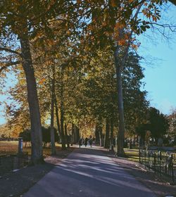 Road amidst trees against sky during autumn