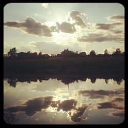 Reflection of trees in water