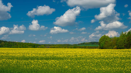 Scenic view of field against cloudy sky