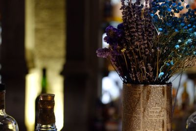 Close-up of flowers in vase