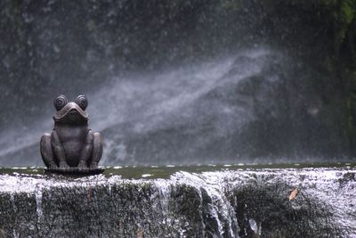 Frog sculpture at fountain