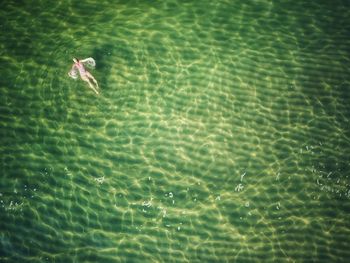 High angle view of a woman swimming the in sea in holiday