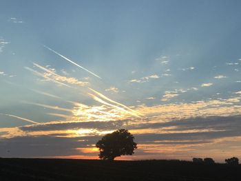 Silhouette tree against sky during sunset