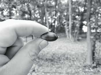 Close-up of hand holding ring