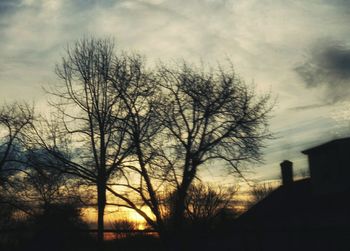 Low angle view of silhouette bare trees against sky